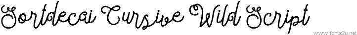 Sortdecai Cursive Wild Script