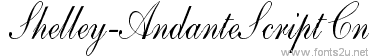 Shelley-AndanteScript Cn