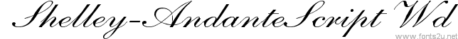 Shelley-AndanteScript Wd