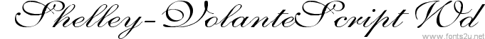 Shelley-VolanteScript Wd