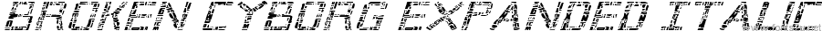 Broken Cyborg Expanded Italic