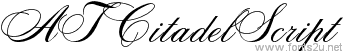 ATCitadelScript