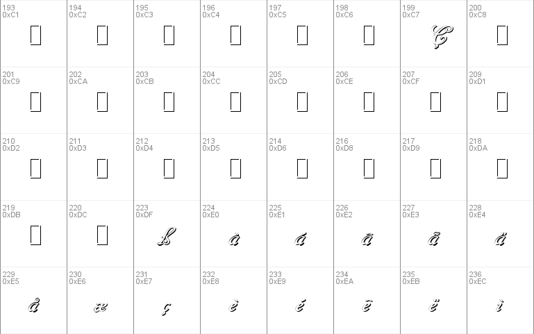 Cancellaresca Script Shadow