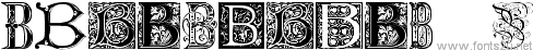 Ornamental Initials B