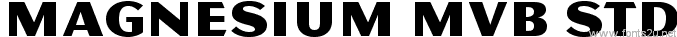 Magnesium MVB Std