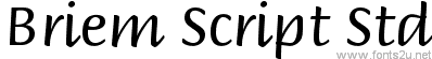 Briem Script Std