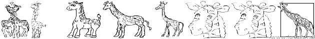 AEZ giraffes